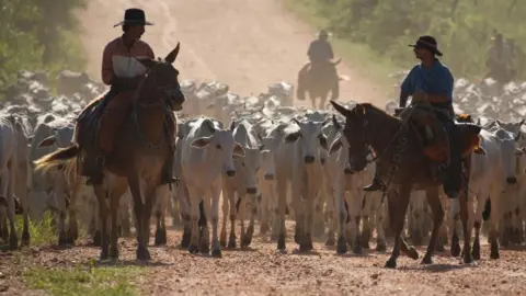 e3f1bd90-203d-11f0-9ca7-e308e1ae9161 e3f1bd90-203d-11f0-9ca7-e308e1ae9161 Getty Images Ranchers herding cattle in the Brazilian state of Mato Grosso do Sul could south america benefit from trump's trade tariffs? Could South America benefit from Trump's trade tariffs? e3f1bd90 203d 11f0 9ca7 e308e1ae9161