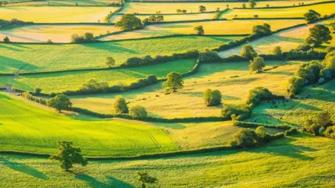 fd20de50-3180-11f0-9705-29fcd10d0f7c fd20de50-3180-11f0-9705-29fcd10d0f7c Getty Images Rolling fields, divided by hedgerows and dotted with trees, casting long shadows in a low evening sun MPs call for year-long delay to farm inheritance tax MPs call for year-long delay to farm inheritance tax fd20de50 3180 11f0 9705 29fcd10d0f7c