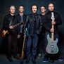 Pearl Jam Release Compilation Inspired by HBO’s ‘The Last of Us’ pearl jam c2s 91x91