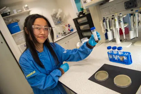 f1c61120-533f-11f0-a2ff-17a82c2e8bc4 f1c61120-533f-11f0-a2ff-17a82c2e8bc4 Scientist, Michelle Lin, in blue lab coat lifting a vial in a laboratory with petri dishes in front of her I found a bacteria-eating virus in my loo – could it save your life? f1c61120 533f 11f0 a2ff 17a82c2e8bc4