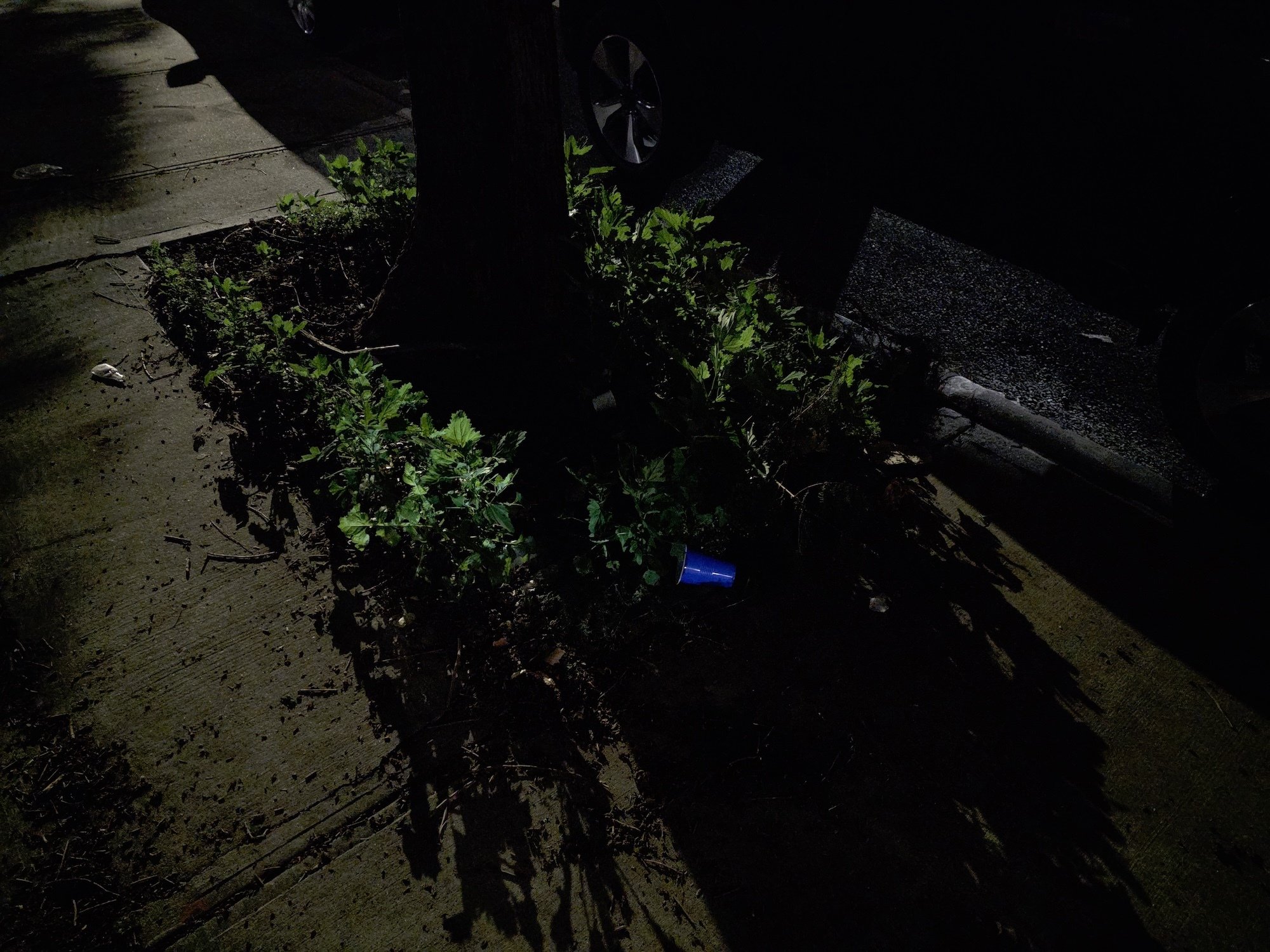 images-9 images-9 A tree planter at night in Brooklyn without night mode turned on Samsung Galaxy S25 Edge review: Its thin, and thats what counts images 9