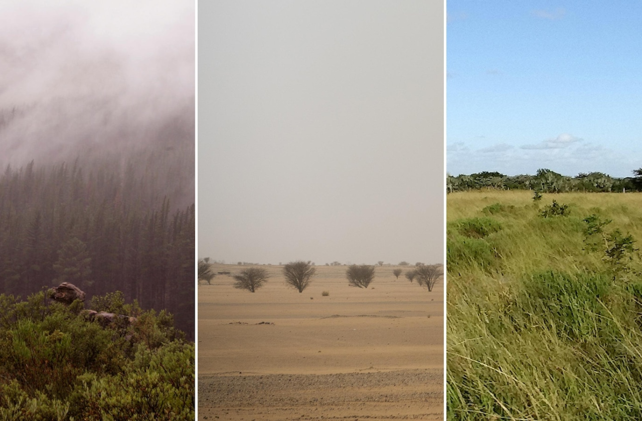 wp-header-logo-947-1280x840 wp-header-logo-947-1280x840 Early humans adapting to extreme habitats set stage for global migration: Researchers wp header logo 947 1280x840