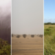 Early humans adapting to extreme habitats set stage for global migration: Researchers wp header logo 947 80x80