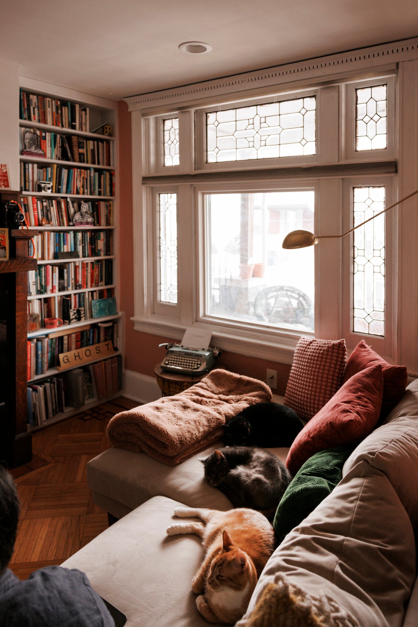 Emma Copley Eisenberg's Colorful Philly House With Books, Three Cats, and Herbal Tea on Tap  A Colorful Philly House With Three Cats and Herbal Tea on Tap 1752870159 313 JG CupOfJo March2025 EmmaArtHouseTour 4636 LRWEB scaled