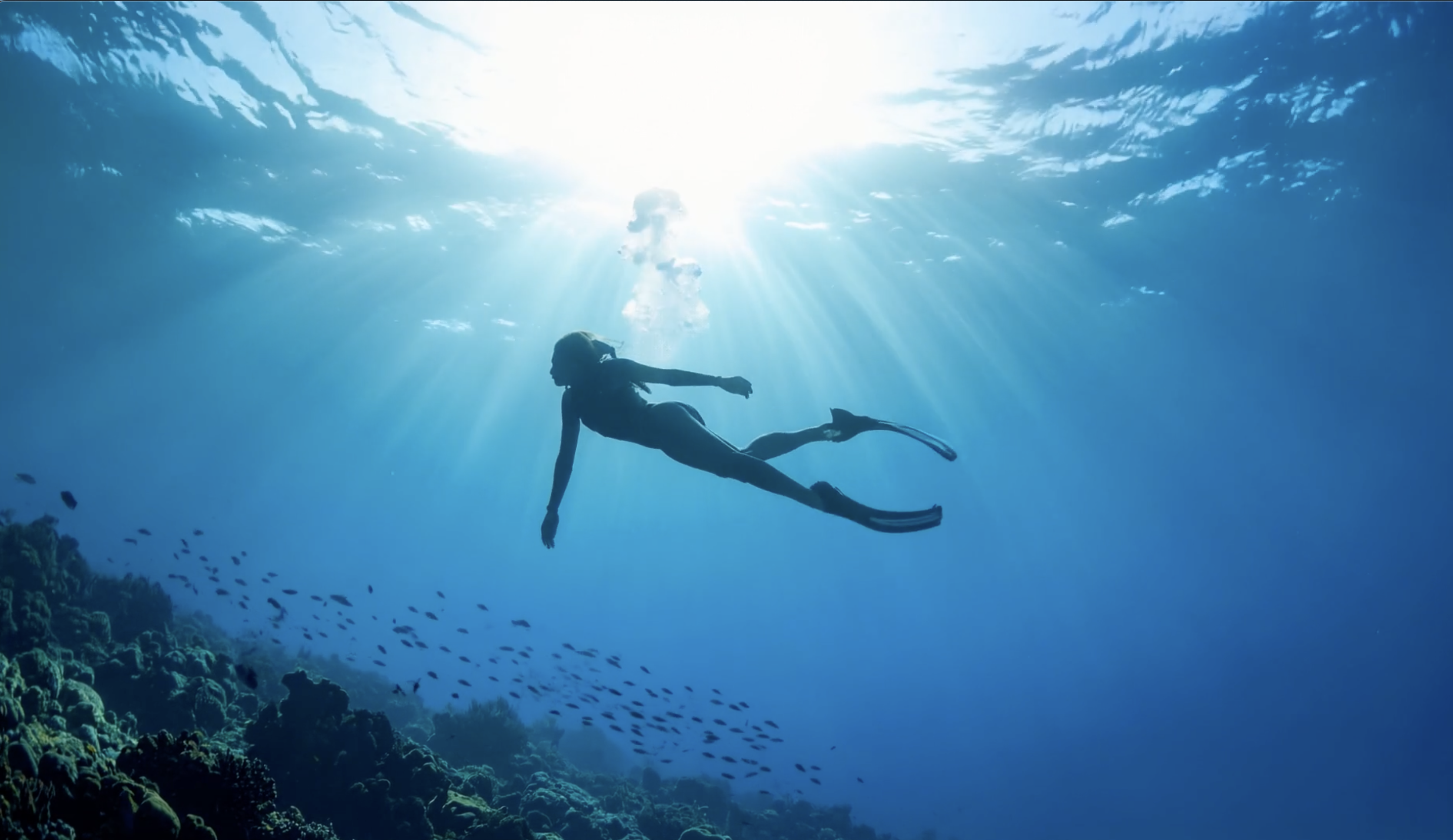 Diver-Marey-Example Diver-Marey-Example This New AI Tool Wants to Work With Filmmakers—Not Replace Them Diver Marey Example