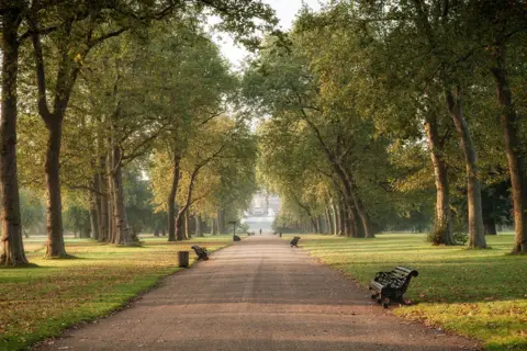b914dda0-5d73-11f0-b5c5-012c5796682d b914dda0-5d73-11f0-b5c5-012c5796682d Hyde Park. A tree lined path with benches on each side runs straight through the park. Al Fayed family battle over luxury penthouse with 'leaky roofs and noisy lifts' b914dda0 5d73 11f0 b5c5 012c5796682d