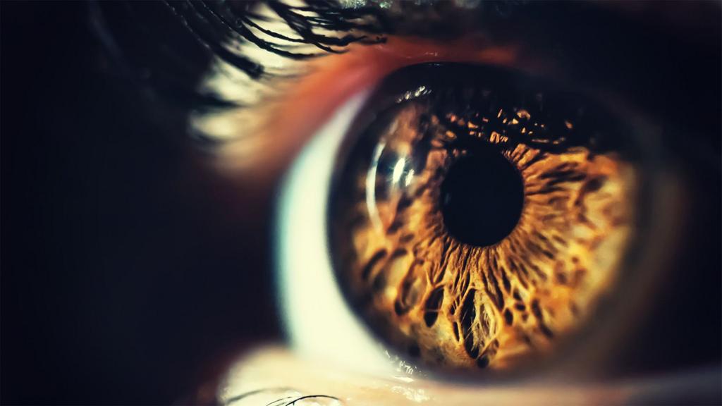 wp-header-logo-447 wp-header-logo-447 Can (and should) we cure blindness? wp header logo 447
